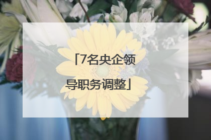 7名央企领导职务调整