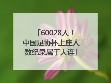 60028人！中国足协杯上座人数纪录属于大连