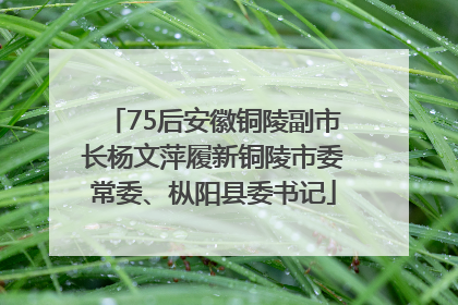 75后安徽铜陵副市长杨文萍履新铜陵市委常委、枞阳县委书记