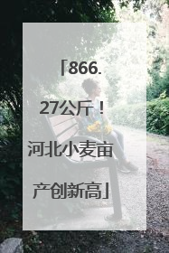 866.27公斤！河北小麦亩产创新高