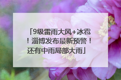 9级雷雨大风+冰雹！淄博发布最新预警！还有中雨局部大雨