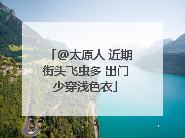 @太原人 近期街头飞虫多 出门少穿浅色衣
